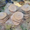 02 Aktion Februar 25 Tiere im Winterwald